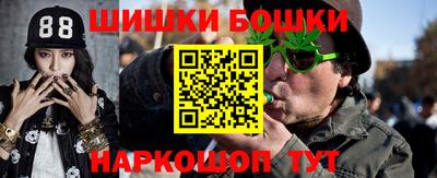 a pvp Новодвинск