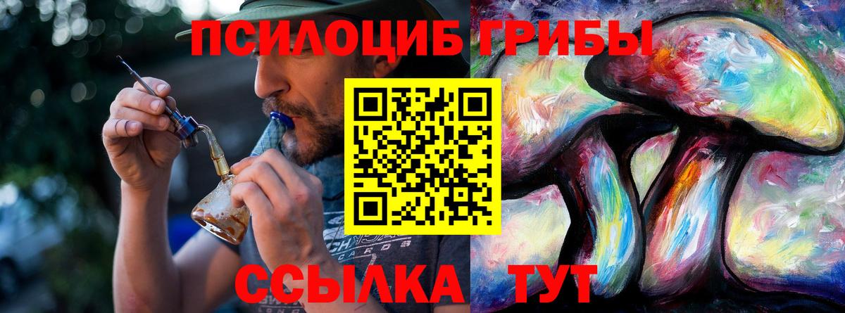 Галлюциногенные грибы Psilocybine cubensis Скопин